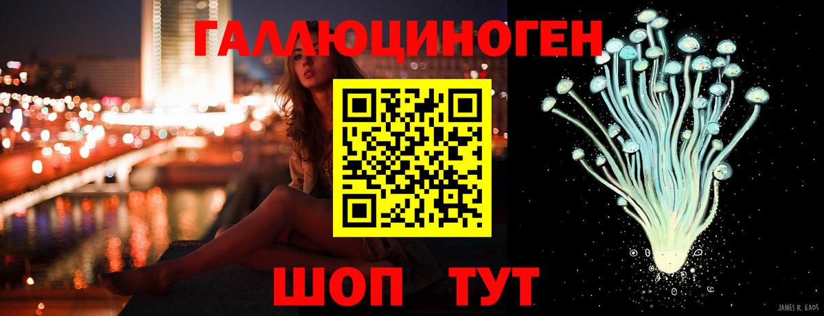 Псилоцибиновые грибы Psilocybe  Вход с VPN  Сегежа 